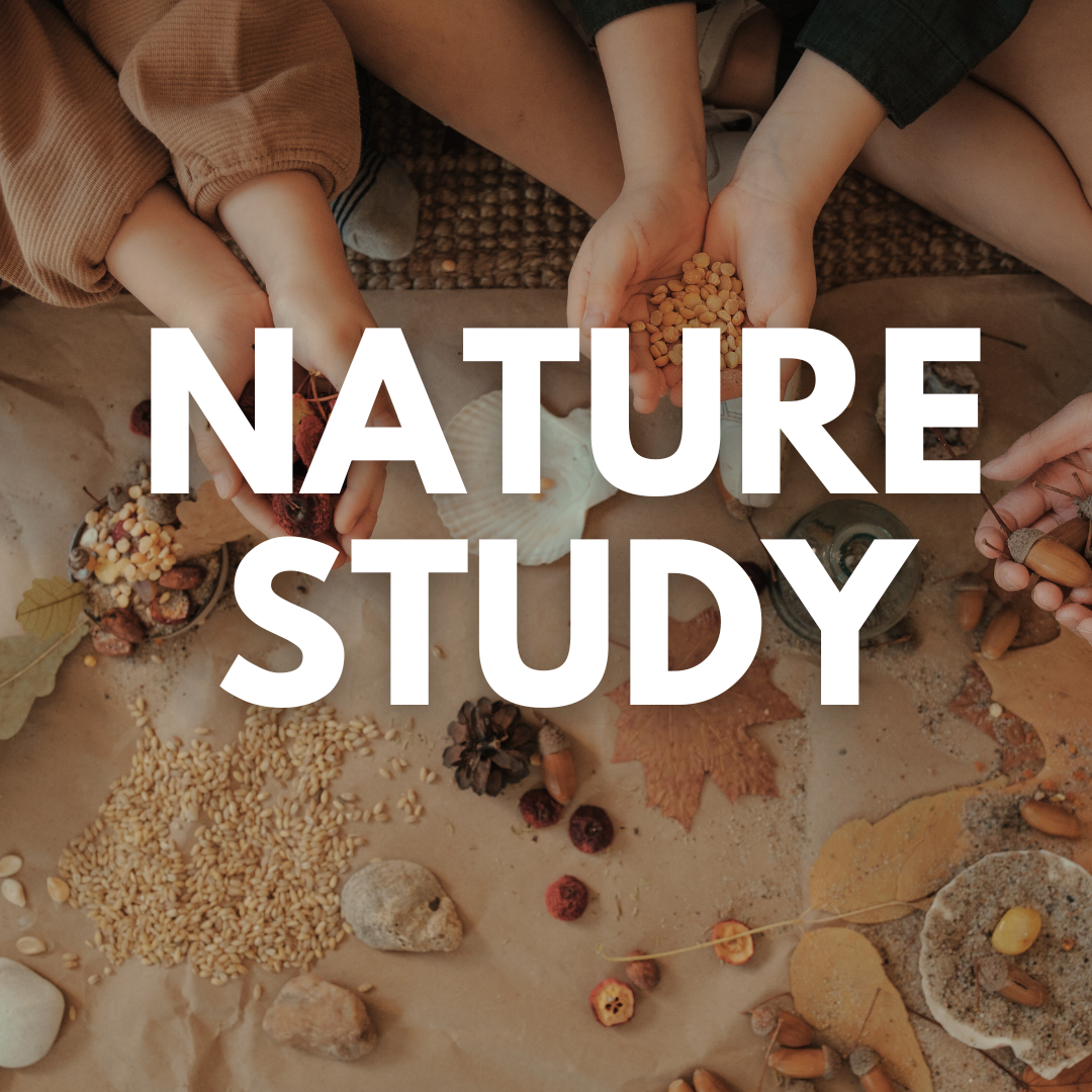 Nature Study Kansas City Homeschool Field Trips with SEICHE